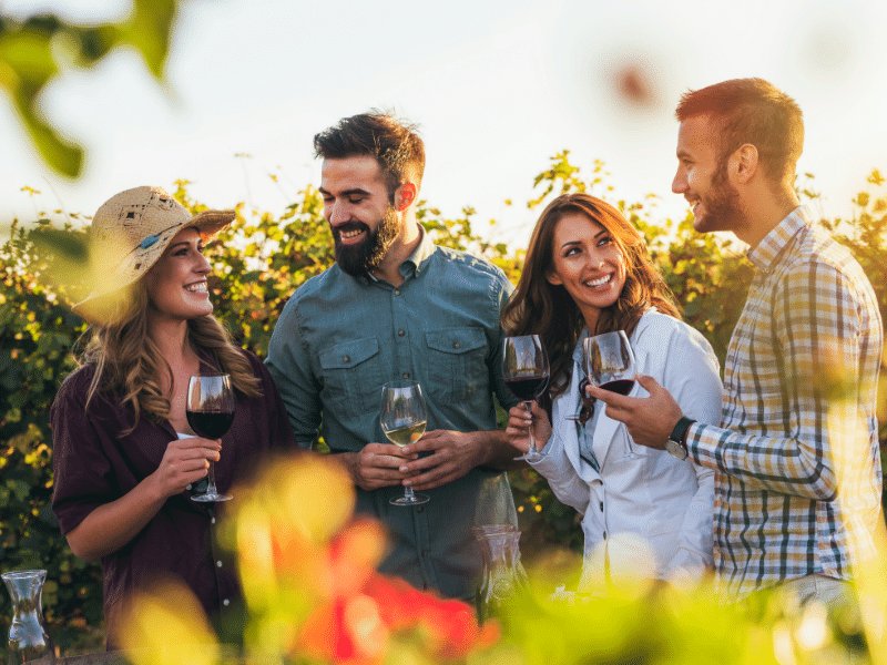 Friends sharing a glass of wine in a sunlit Niagara vineyard